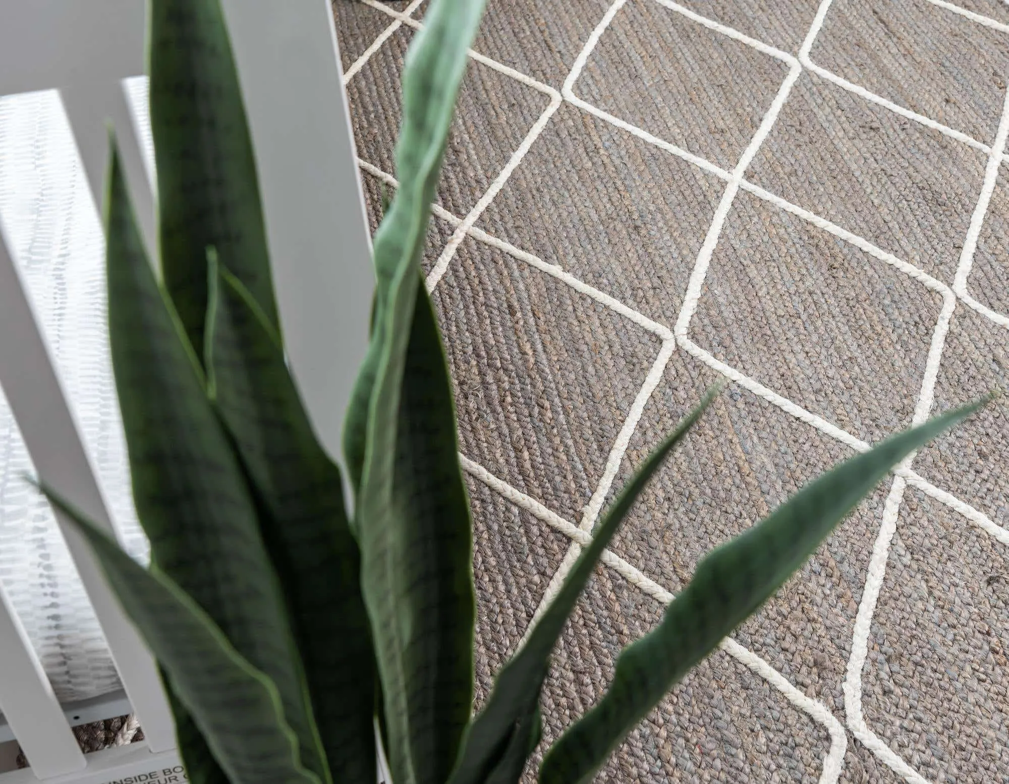 Trellis Braided Jute Rug